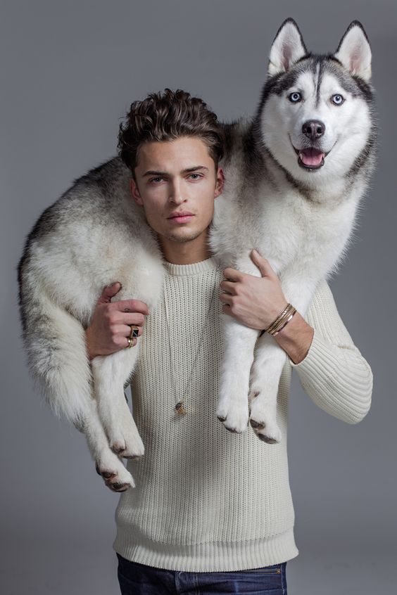 Tips On How To Tell If Your Pet Is Going Through Depression