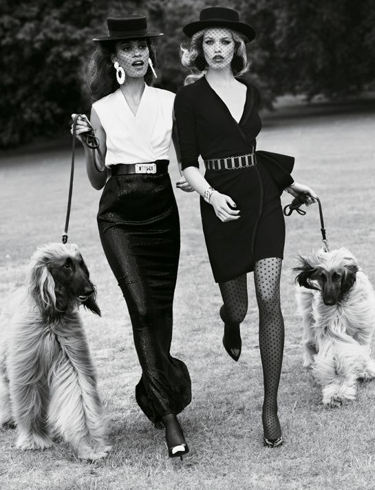 Unveiling the Benefits: Probiotics for Dogs' Digestive Health and Well-Being