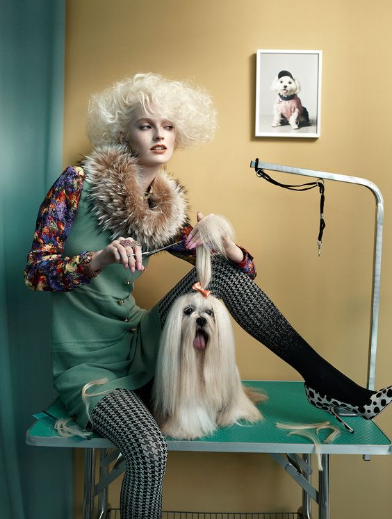 Elevating Pet Care: Exploring the World of Doggy Daycare and Upscale Pet-Sitting