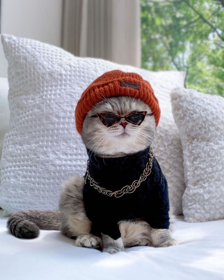 Get Ready to Match with Your Pooch: Latest Pet Fashion Trends for 2023!
