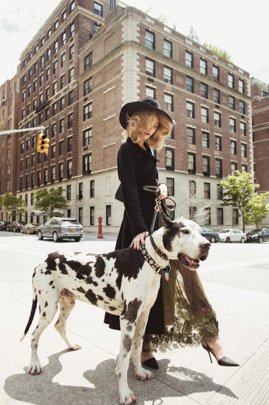 Top 5 Challenges of Owning A Pet