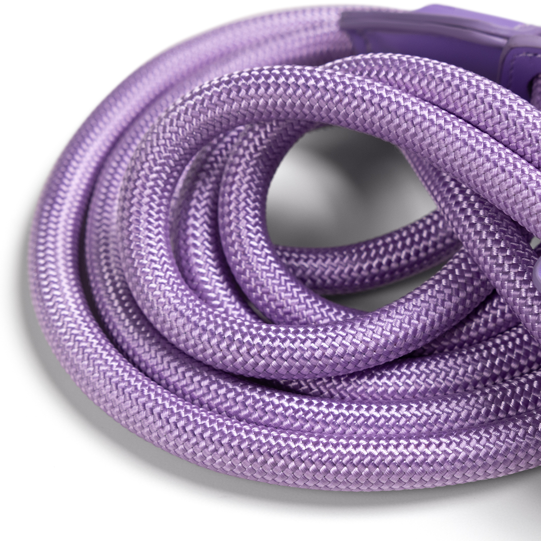 Zoe Harness