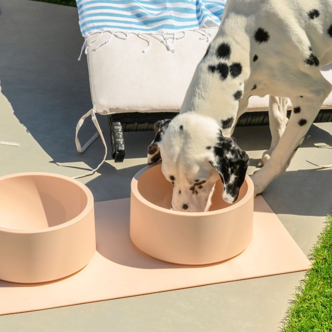 New Nico Feeding Set