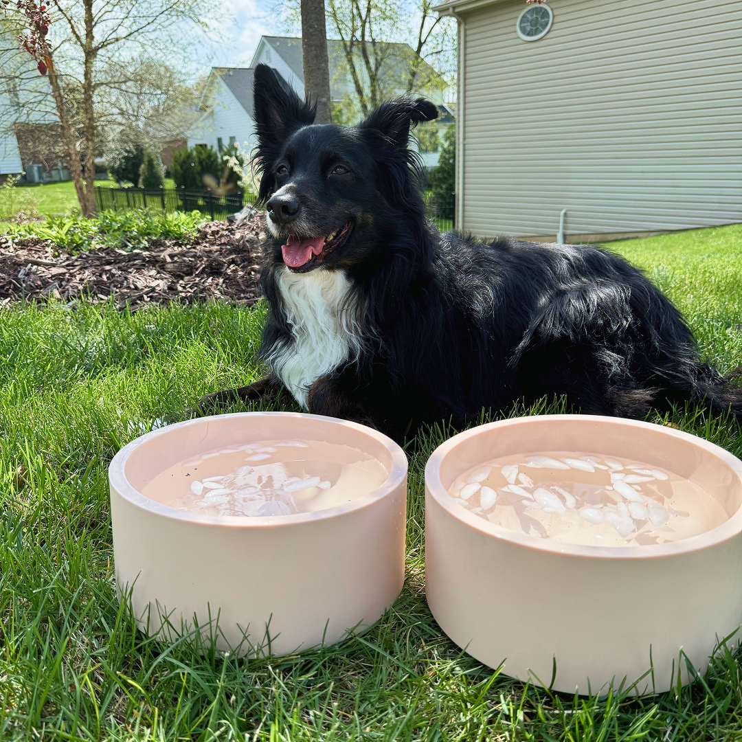 Nico Bowl