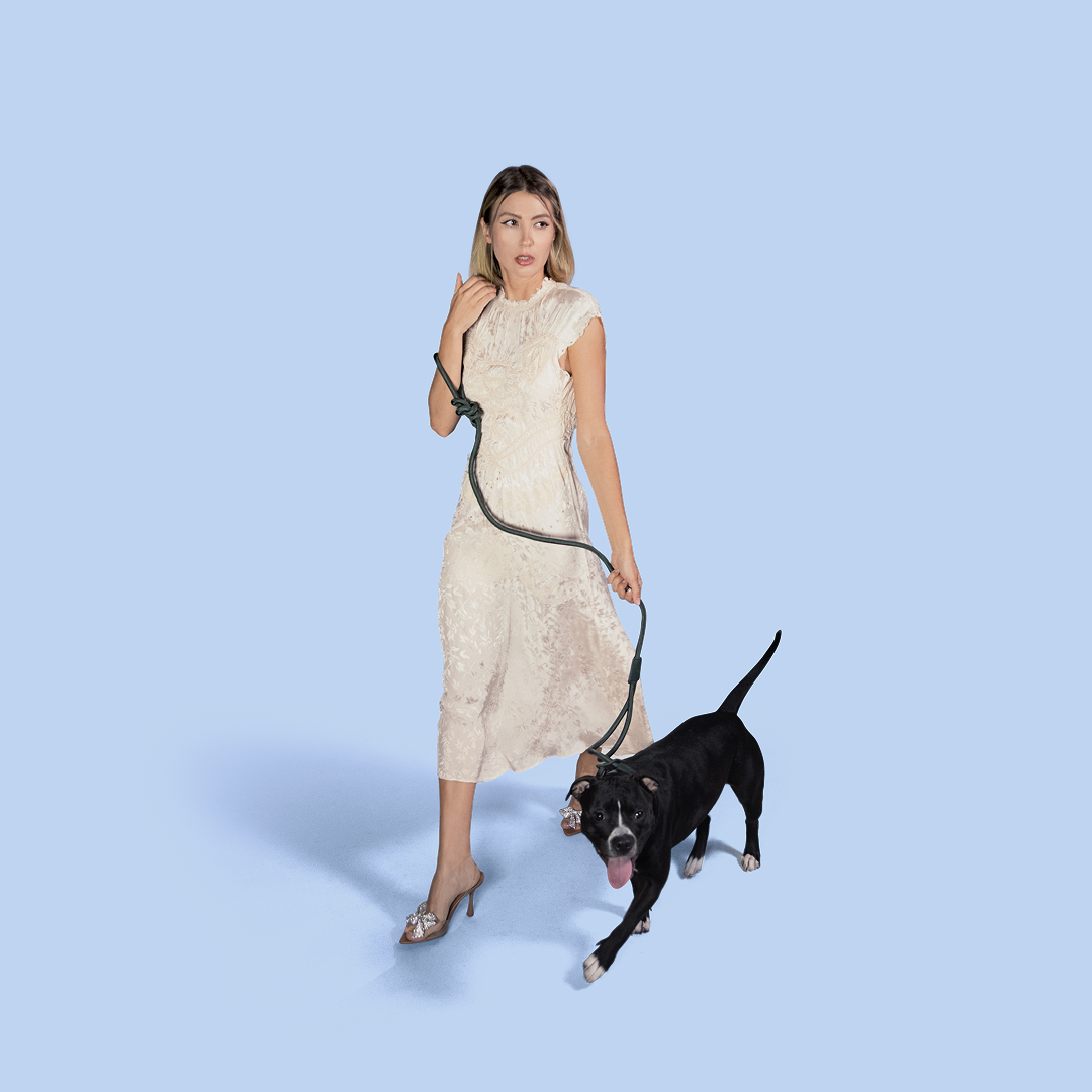 Zoe Harness